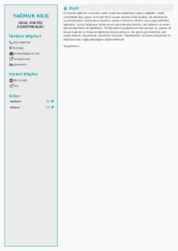 Okul Öncesi Öğretmeni Öğretmenliği Cv Örnekleri cv indir